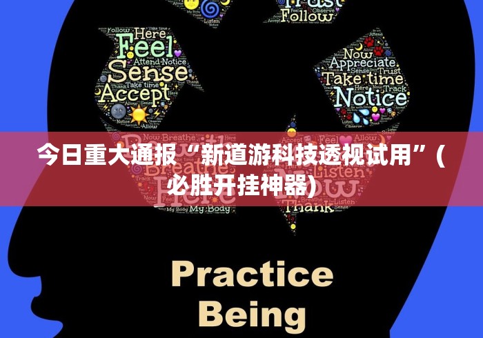 必学教你安装“麻将挂先试用再付款骗术”有挂详细开挂教程