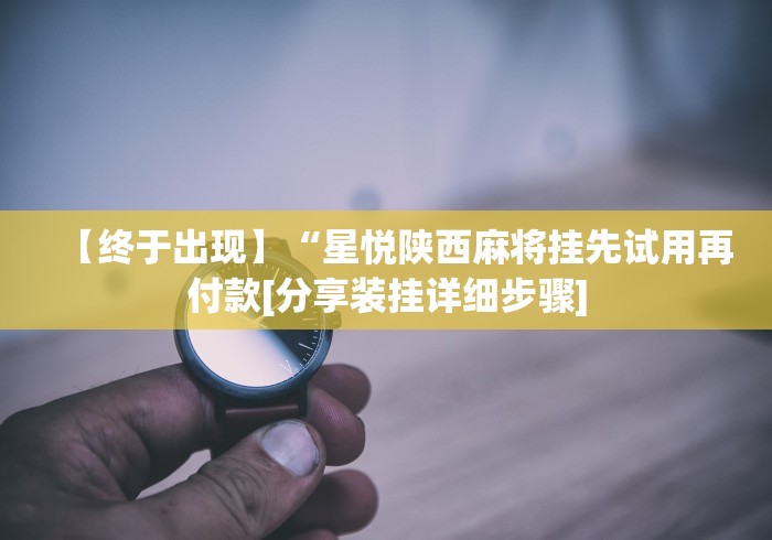 【终于出现】“星悦陕西麻将挂先试用再付款[分享装挂详细步骤]