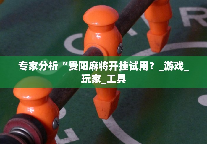 专家分析“贵阳麻将开挂试用?_游戏_玩家_工具 专家分析“贵阳麻将开挂试用?_游戏_玩家_工具