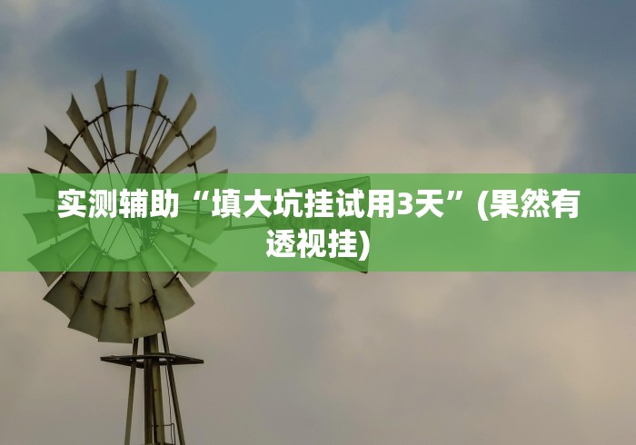 实测辅助“填大坑挂试用3天”(果然有透视挂)