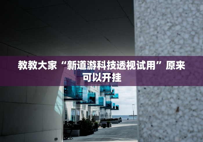 教教大家“新道游科技透视试用”原来可以开挂