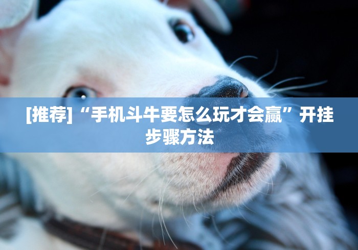 [推荐]“手机斗牛要怎么玩才会赢”开挂步骤方法