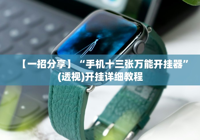 【一招分享】“手机十三张万能开挂器”(透视)开挂详细教程