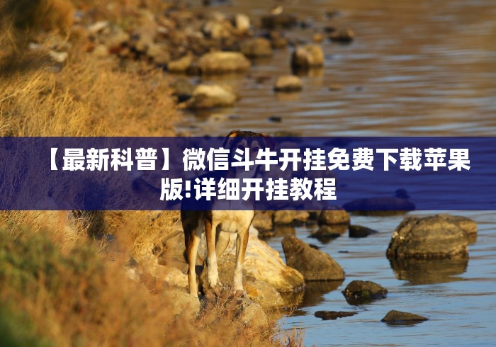 【最新科普】微信斗牛开挂免费下载苹果版!详细开挂教程