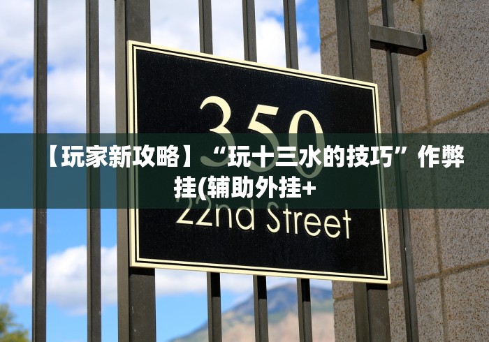 【玩家新攻略】“玩十三水的技巧”作弊挂(辅助外挂+