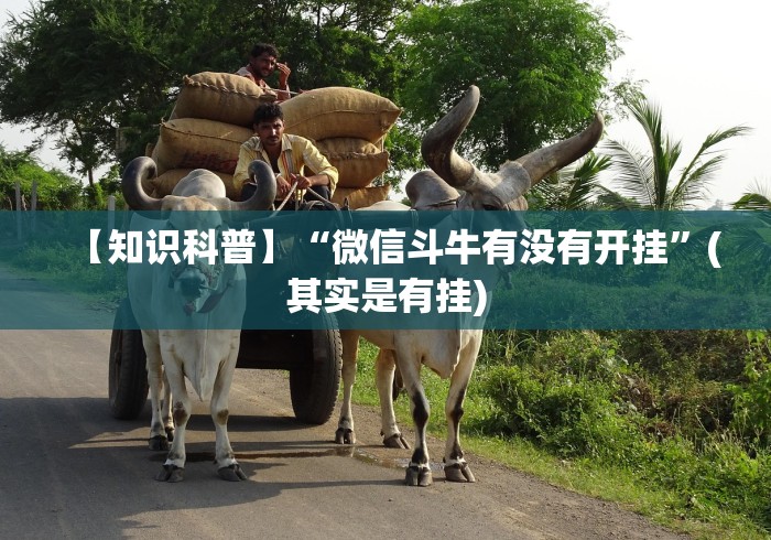 【知识科普】“微信斗牛有没有开挂”(其实是有挂)