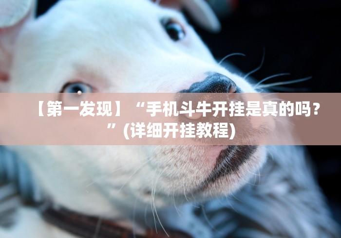 【第一发现】“手机斗牛开挂是真的吗？”(详细开挂教程)