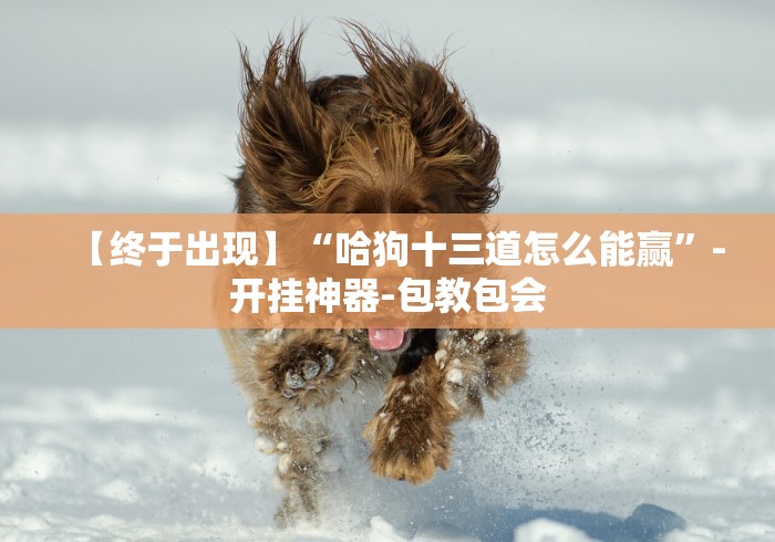 【给大家科普一下】“微乐填大坑输赢规律”详细开挂玩法