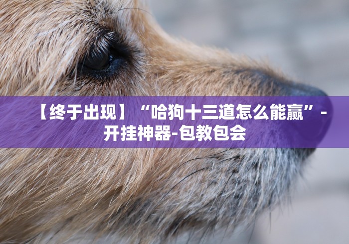 【技术分享】“微信财神十三张小程序如何赢分”开挂(透视)辅助教程 【技术分享】“微信财神十三张小程序如何赢分”开挂(透视)辅助教程