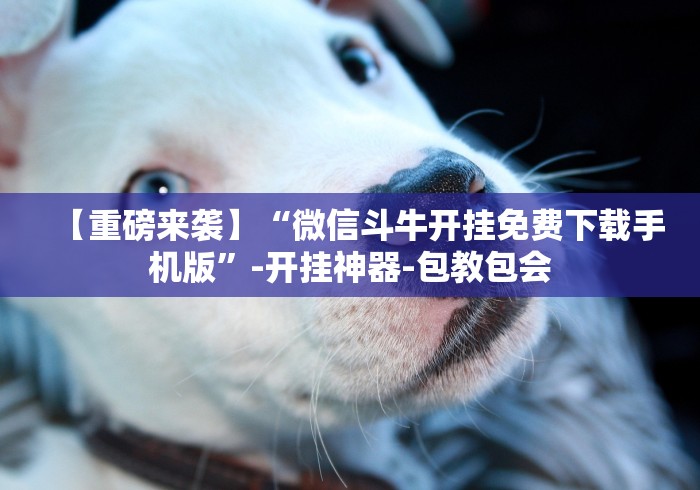 实测工具“微乐刨幺填大坑透视苹果”作弊挂(辅助外挂+教程)