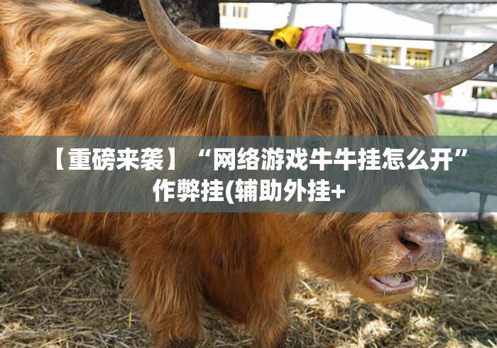 【重磅来袭】“网络游戏牛牛挂怎么开”作弊挂(辅助外挂+