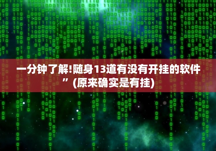 一分钟了解!随身13道有没有开挂的软件”(原来确实是有挂)