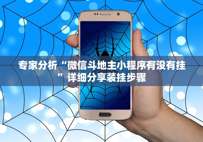 专家分析“微信斗地主小程序有没有挂”详细分享装挂步骤