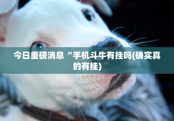 今日重磅消息“手机斗牛有挂吗(确实真的有挂)