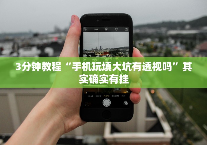 3分钟教程“手机玩填大坑有透视吗”其实确实有挂 3分钟教程“手机玩填大坑有透视吗”其实确实有挂