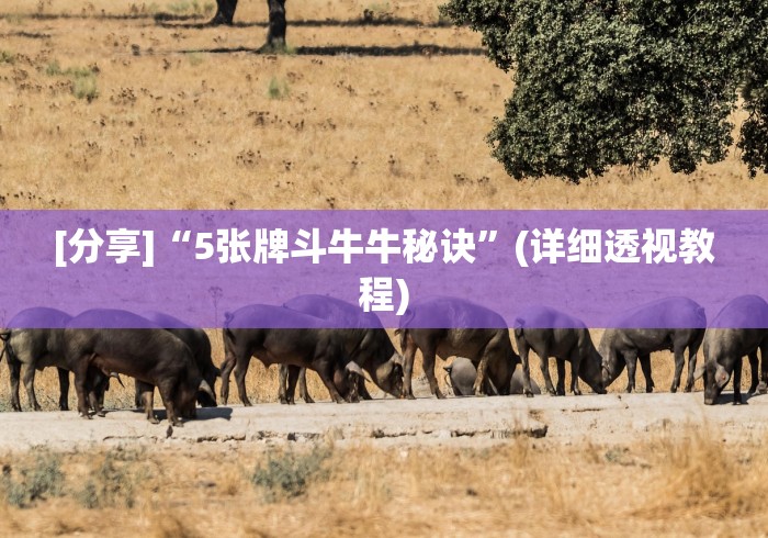 【手机麻将挂】微信斗地主小程序有没有挂!详细开挂教程