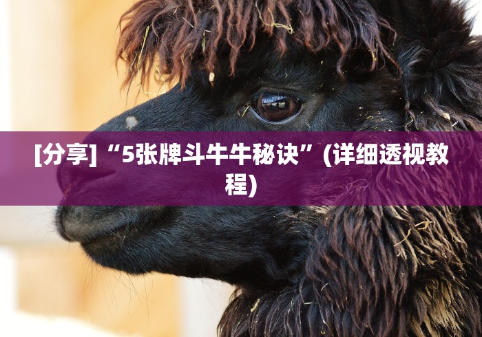 【盘点十款】“广西老友麻将十三张怎么开挂[确实真的有挂]