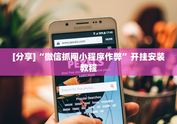 [分享]“微信抓阄小程序作弊”开挂安装教程