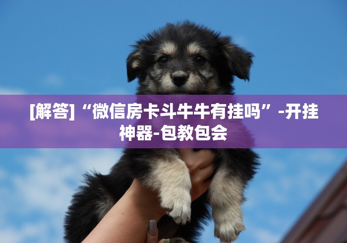 [解答]“微信房卡斗牛牛有挂吗”-开挂神器-包教包会