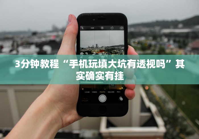 3分钟教程“手机玩填大坑有透视吗”其实确实有挂