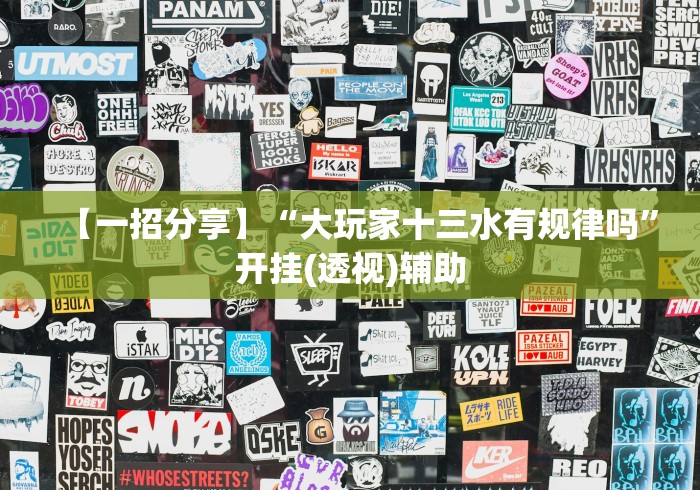 【一招分享】“大玩家十三水有规律吗”开挂(透视)辅助