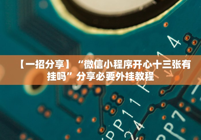 【独家发现】“口袋十三张透视挂”有挂详细开挂教程