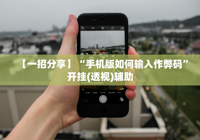 【一招分享】“手机版如何输入作弊码”开挂(透视)辅助