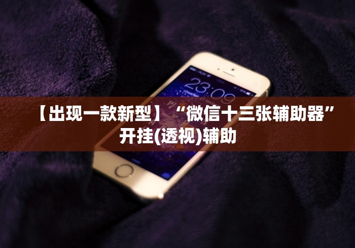 【出现一款新型】“微信十三张辅助器”开挂(透视)辅助