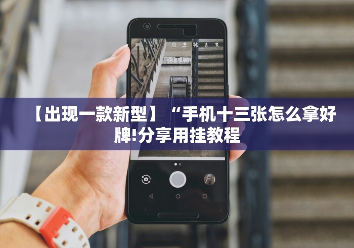 【出现一款新型】“手机十三张怎么拿好牌!分享用挂教程