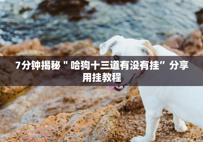 7分钟揭秘"哈狗十三道有没有挂”分享用挂教程 7分钟揭秘"哈狗十三道有没有挂”分享用挂教程