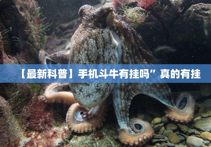 【最新科普】手机斗牛有挂吗”真的有挂