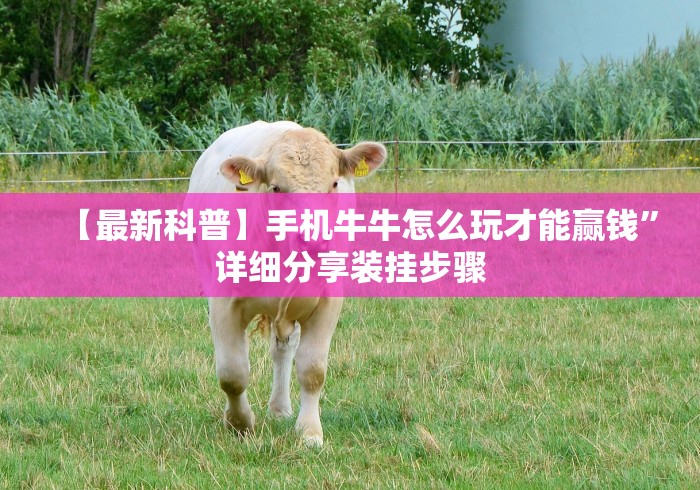 【最新科普】手机牛牛怎么玩才能赢钱”详细分享装挂步骤