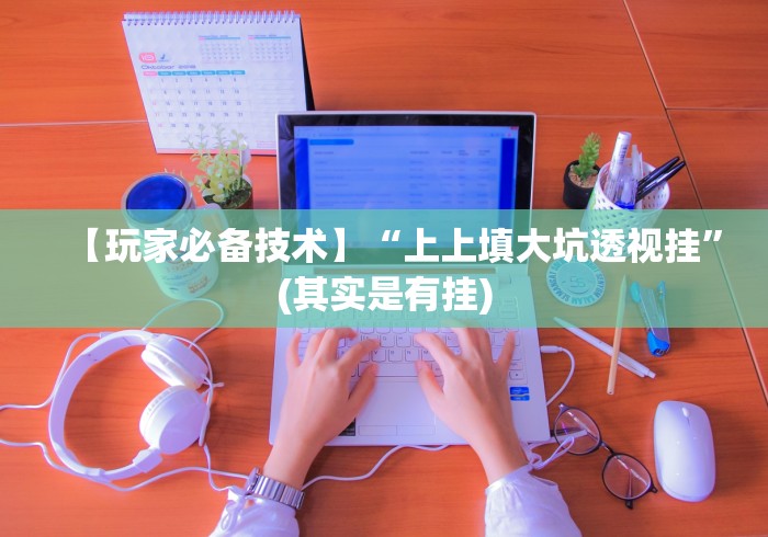 【玩家必备技术】“上上填大坑透视挂”(其实是有挂) 【玩家必备技术】“上上填大坑透视挂”(其实是有挂)