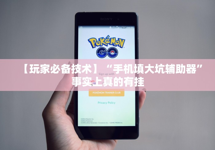 【玩家必备技术】“手机填大坑辅助器”事实上真的有挂