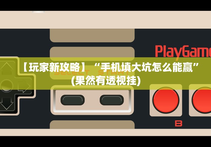 【玩家新攻略】“手机填大坑怎么能赢”(果然有透视挂)