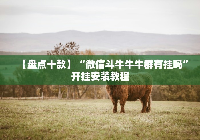 【盘点十款】“微信斗牛牛牛群有挂吗”开挂安装教程 【盘点十款】“微信斗牛牛牛群有挂吗”开挂安装教程