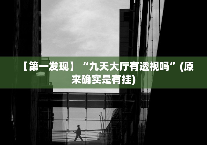 【第一发现】“九天大厅有透视吗”(原来确实是有挂) 【第一发现】“九天大厅有透视吗”(原来确实是有挂)