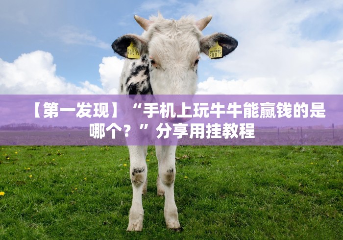 【第一发现】“手机上玩牛牛能赢钱的是哪个？”分享用挂教程