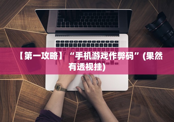 【第一攻略】“手机游戏作弊码”(果然有透视挂)