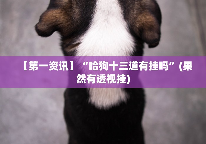 【第一资讯】“哈狗十三道有挂吗”(果然有透视挂)