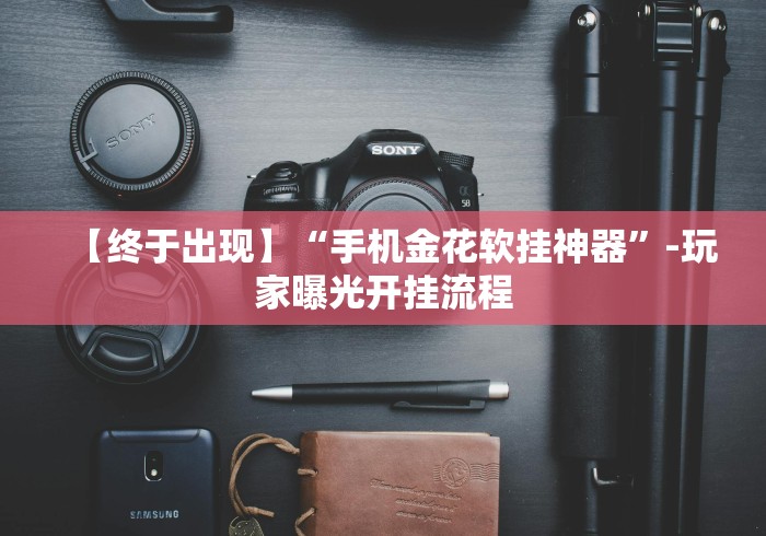 【终于出现】“手机金花软挂神器”-玩家曝光开挂流程