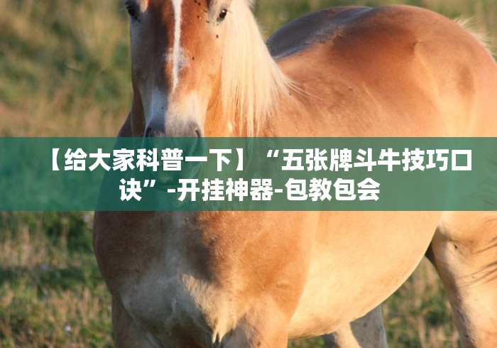 【给大家科普一下】“五张牌斗牛技巧口诀”-开挂神器-包教包会