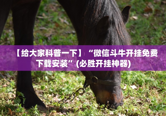 【给大家科普一下】“微信玩十三水为什么会天天输”-必赢神器安装