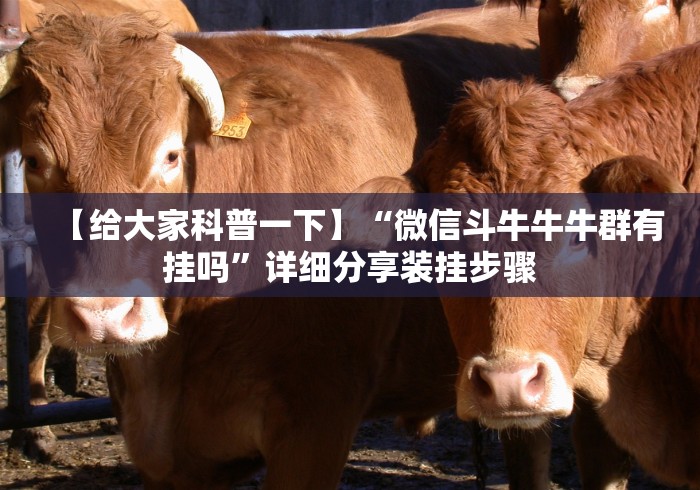 【给大家科普一下】“微信斗牛牛牛群有挂吗”详细分享装挂步骤