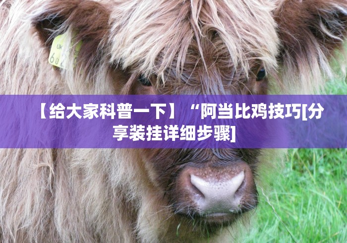 【给大家科普一下】“阿当比鸡技巧[分享装挂详细步骤]