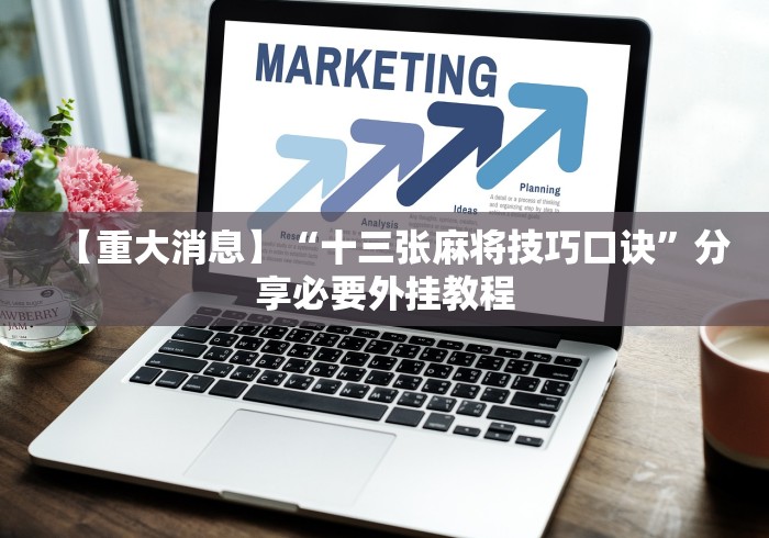 今日分享“八闽掌上十三水怎么拿好牌”(曝光透视必备猫腻)