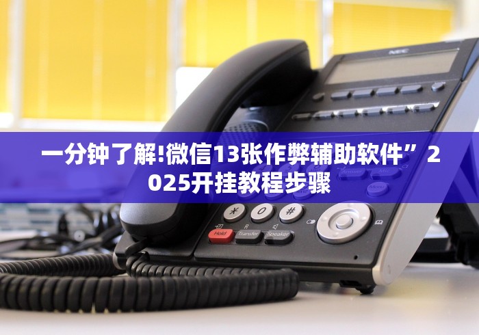 两分钟了解微信骼子如何开挂”(曝光透视必备猫腻)