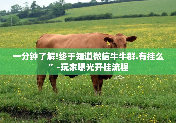 两分钟了解游戏拼三张有没有挂”-原来有挂