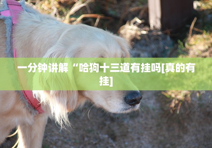 【重大消息】“手机斗牛软件怎么开挂 视频教程”真的有挂