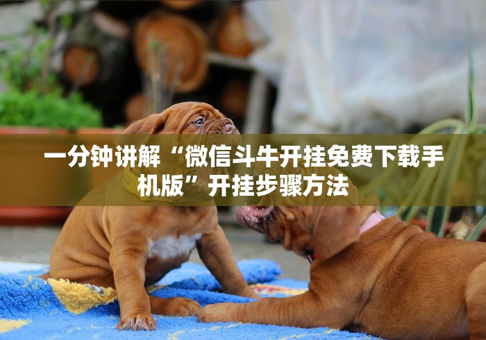 一分钟讲解“微信斗牛开挂免费下载手机版”开挂步骤方法